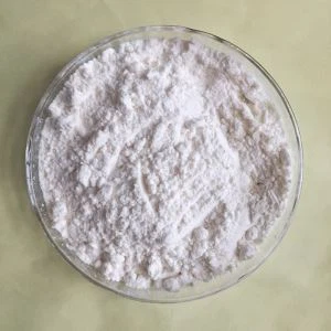 Accelerateur rutouse zbec(zbdc) .