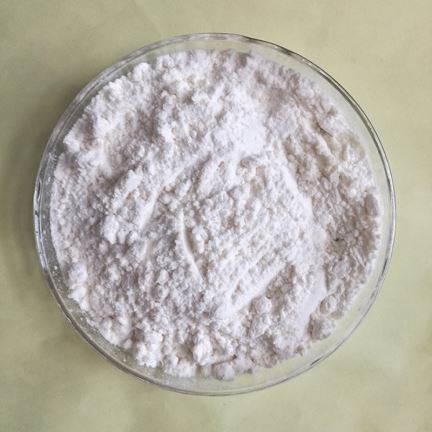 Accelerateur de lastic zbec .